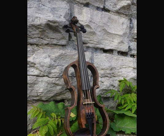 Violin Example